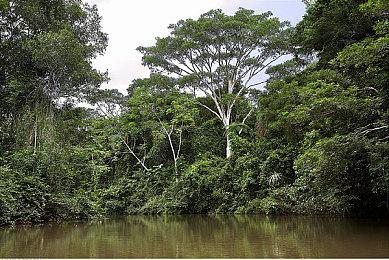 《暗黑4》职业选择率统计：法师最受欢迎德鲁伊不受欢迎